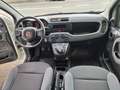 Fiat Panda 1.2 Easy Van 4 posti Bianco - thumbnail 10