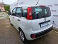 Fiat Panda 1.2 Easy Van 4 posti Bianco - thumbnail 7