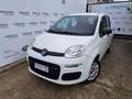 Fiat Panda 1.2 Easy Van 4 posti Bianco - thumbnail 2