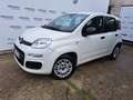 Fiat Panda 1.2 Easy Van 4 posti Bianco - thumbnail 4