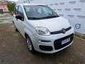 Fiat Panda 1.2 Easy Van 4 posti Bianco - thumbnail 5