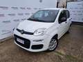 Fiat Panda 1.2 Easy Van 4 posti Bianco - thumbnail 3