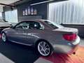 BMW 320 d Cabrio M Paket Automatik NaviProf KeylesGo Gris - thumbnail 8
