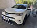 Toyota RAV4 Toyota RAV4 2,5 Hybrid Active SUV / Geländewagen Weiß - thumbnail 1