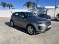 Land Rover Range Rover Evoque Range Rover Evoque 2.0d i4 mhev S awd 163cv auto, Grigio - thumbnail 7