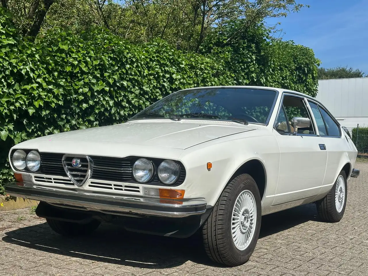 Alfa Romeo Alfetta Bild 2