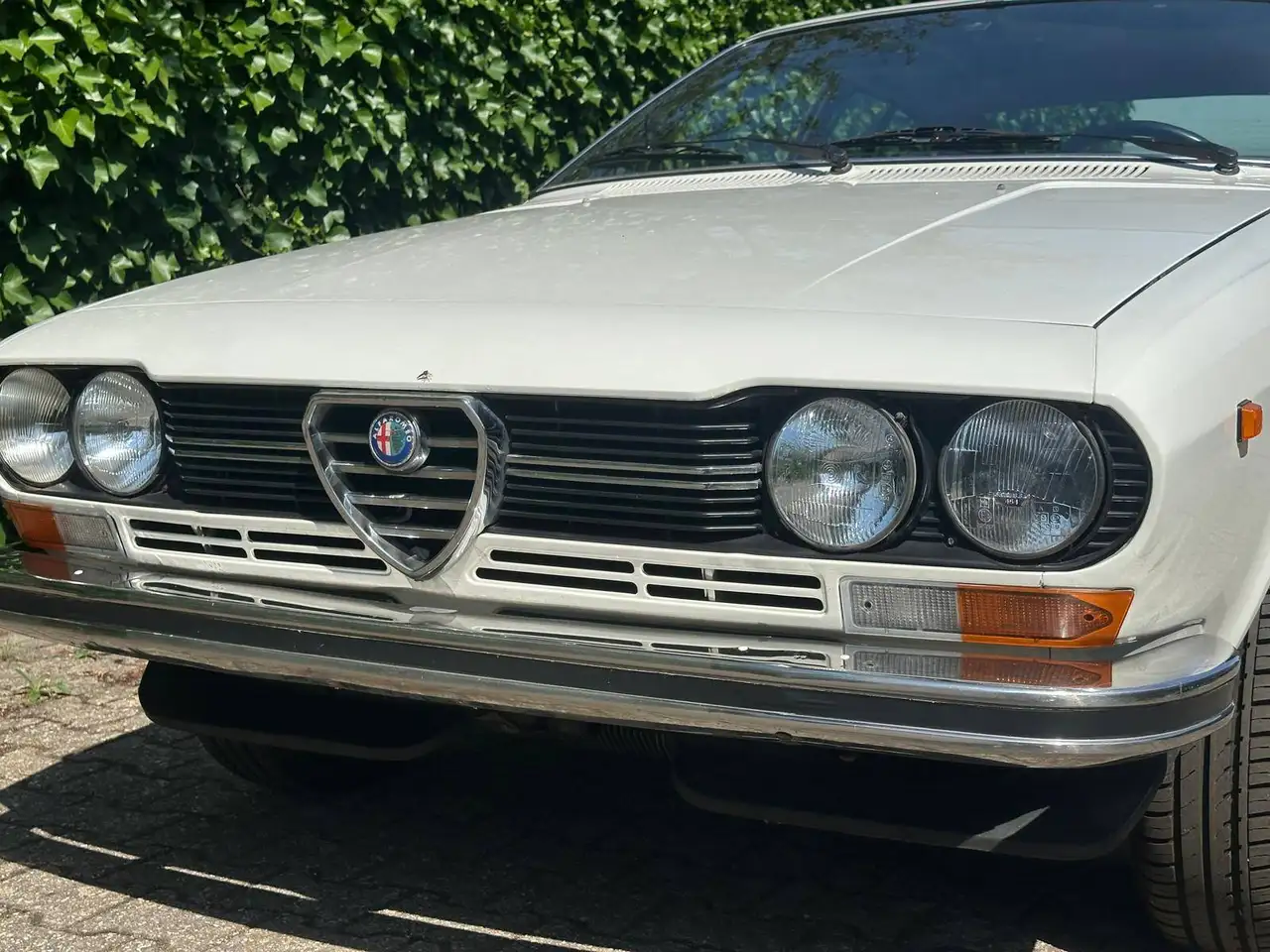 Alfa Romeo Alfetta Bild 4