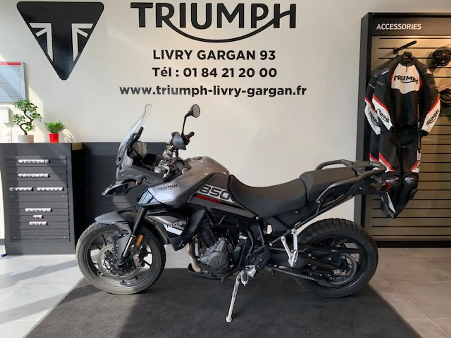 Triumph Beige - 1