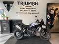 Triumph Beige - thumbnail 2