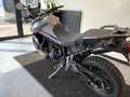 Triumph Beige - thumbnail 13