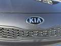 Kia Rio Rio 1.1 CRDi 5p. Active Grau - thumbnail 18