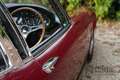 AC Sonstige 428 Frua Fastback Coupé "Manual gearbox" "Very rar Rot - thumbnail 15