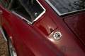 AC Sonstige 428 Frua Fastback Coupé "Manual gearbox" "Very rar Rot - thumbnail 48