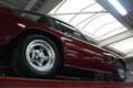 AC Sonstige 428 Frua Fastback Coupé "Manual gearbox" "Very rar Rot - thumbnail 18
