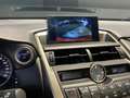 Lexus NX 300h 2.5 Executive 4WD Gris - thumbnail 16