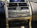 Lexus NX 300h 2.5 Executive 4WD Gris - thumbnail 17