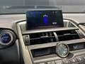 Lexus NX 300h 2.5 Executive 4WD Gris - thumbnail 19