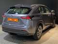 Lexus NX 300h 2.5 Executive 4WD Gris - thumbnail 5