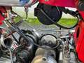 Moto Guzzi Airone Astorino 250 Rouge - thumbnail 11