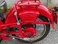 Moto Guzzi Airone Astorino 250 Rouge - thumbnail 13
