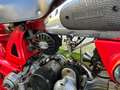 Moto Guzzi Airone Astorino 250 Rouge - thumbnail 9