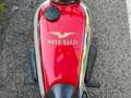 Moto Guzzi Airone Astorino 250 Rouge - thumbnail 8