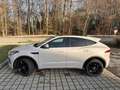 Jaguar E-Pace E-Pace P300 AWD Aut. R-Dynamic HSE Gris - thumbnail 3