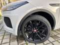 Jaguar E-Pace E-Pace P300 AWD Aut. R-Dynamic HSE Gris - thumbnail 7
