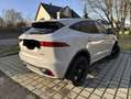 Jaguar E-Pace E-Pace P300 AWD Aut. R-Dynamic HSE Gris - thumbnail 5