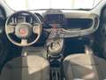 Fiat Panda 1.0 firefly hybrid City Life *PREZZO REALE* Grijs - thumbnail 10