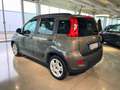 Fiat Panda 1.0 firefly hybrid City Life *PREZZO REALE* Grijs - thumbnail 6