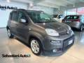 Fiat Panda 1.0 firefly hybrid City Life *PREZZO REALE* Grijs - thumbnail 1