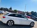 Audi A4 Avant 40 TDI S line *AHK*LED*LEDER*NAVI* Weiß - thumbnail 7