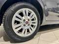 Fiat Punto 1.2 8V 5p. Street *NEOPATENTATI*UNIPROPRIETARIO* Grau - thumbnail 6