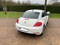 Volkswagen Beetle The Beetle 1.2 TSI Design Alb - thumbnail 6