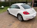 Volkswagen Beetle The Beetle 1.2 TSI Design Alb - thumbnail 4
