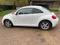 Volkswagen Beetle The Beetle 1.2 TSI Design Alb - thumbnail 8