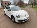 Volkswagen Beetle The Beetle 1.2 TSI Design Alb - thumbnail 1