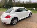 Volkswagen Beetle The Beetle 1.2 TSI Design Alb - thumbnail 7