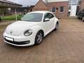 Volkswagen Beetle The Beetle 1.2 TSI Design Alb - thumbnail 3