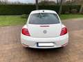 Volkswagen Beetle The Beetle 1.2 TSI Design Alb - thumbnail 5