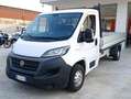 Fiat DUCATO CASSONE FISSO Blanc - thumbnail 1