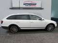 Skoda Superb Combi Elegance 4x4, 2.0 TDI*Lerde*Xenon* Klima Blanc - thumbnail 2