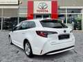 Toyota Corolla TS 1.8 Hybrid Business Navi*ACC*KAM Bianco - thumbnail 6