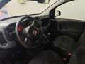 Fiat Panda 1.0 Hybrid PREZZO REALE IN PRONTA CONSEGNA Verde - thumbnail 9