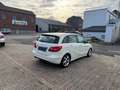 Mercedes-Benz B 180 CDI Edition 1 ILS Sportpaket KAMERA TEMPO Weiß - thumbnail 4