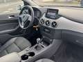 Mercedes-Benz B 180 CDI Edition 1 ILS Sportpaket KAMERA TEMPO Weiß - thumbnail 13