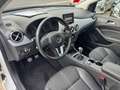 Mercedes-Benz B 180 CDI Edition 1 ILS Sportpaket KAMERA TEMPO Weiß - thumbnail 12