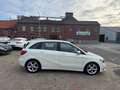 Mercedes-Benz B 180 CDI Edition 1 ILS Sportpaket KAMERA TEMPO Weiß - thumbnail 5