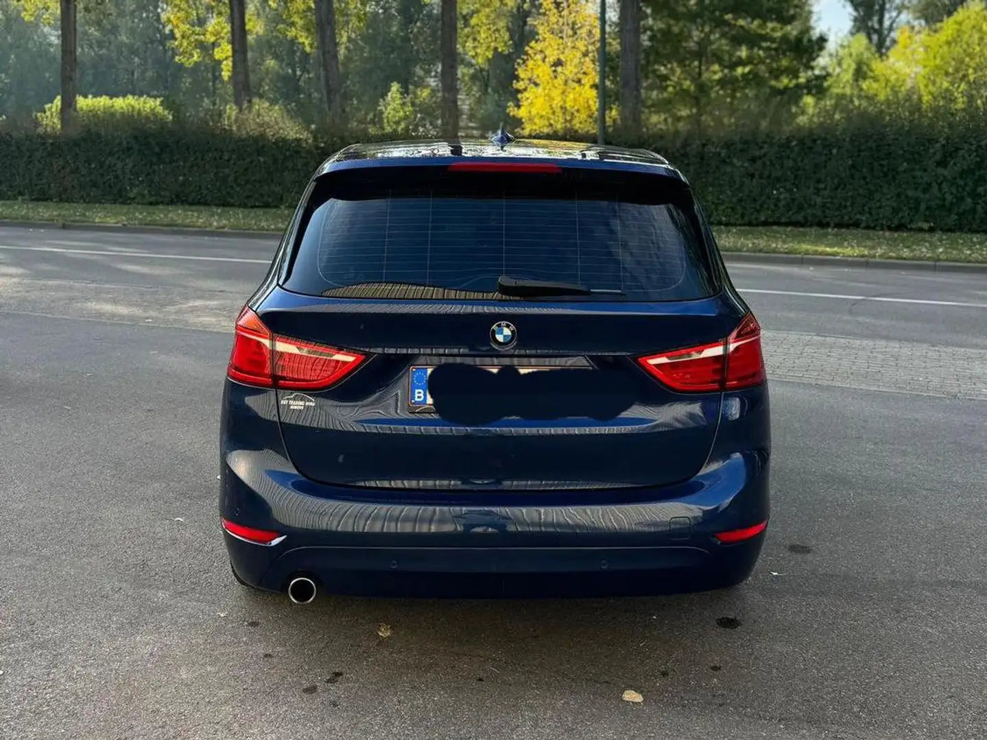 BMW 216 Active+Tourer+216+d+JOY+Edition Blauw - 2